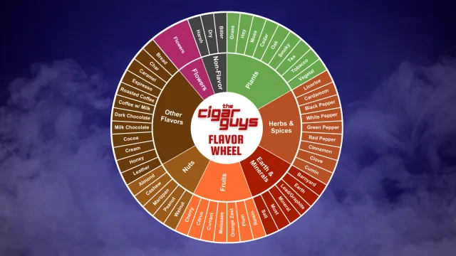 How to Use The Cigar Guys Flavor Wheel to Describe (and Choose) Your Next Cigar